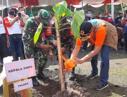 Ancaman Tsunami Diantisipasi dengan Tanam Pohon