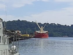 Belum Dipastikan Mutasi Virus Corona India yang Serang ABK Filipina