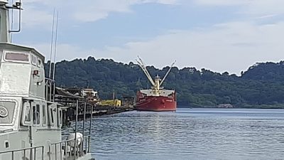 Belum Dipastikan Mutasi Virus Corona India yang Serang ABK Filipina