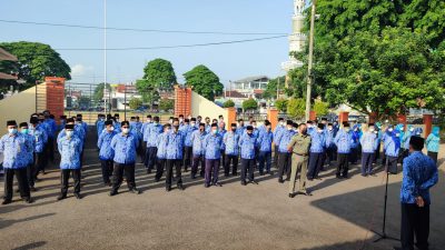 Pendaftaran CPNS dan PPPK 202q Segera Dibuka, Cilacap Ada 6.219 Formasi