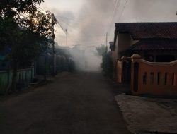 Penyebaran DB Bisa Sepanjang Tahun