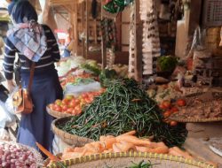 Harga Cabai Terjun Bebas