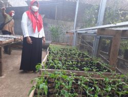 DPRD Cilacap Kagum. Petani Untung Hanya dengan Tanami Pekarangan