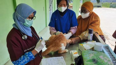 Tak Mau Kalah, Kucing Ikut Antri Vaksinasi
