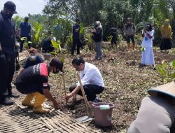 Ke Cilacap, Jokowi Tangkap 2 Kepiting