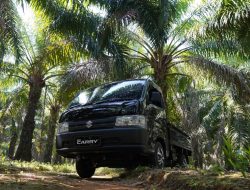 Cara Rawat Pick Up Agar Awet