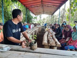 Bibit Durian Gratis Untuk Warga Cilacap