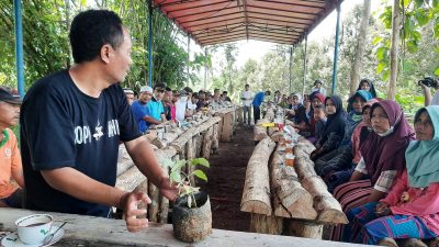 Bibit Durian Gratis Untuk Warga Cilacap