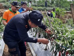 Pertanian Terbukti Bertahan Selama Pandemi