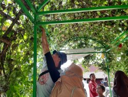 Wisata Petik Sendiri Mulai Diminati