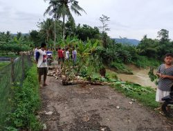 Abrasi Sungai Cileumeuh Kian Parah