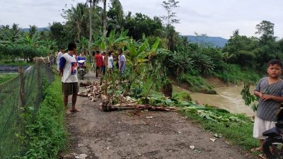 Abrasi Sungai Cileumeuh Kian Parah