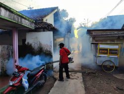 DB Kembali Merebak Di Cilacap