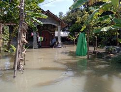 Rumah Warga Masih Tergenang