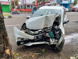 Mobil Hajar Pohon