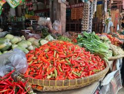 Harga Cabai Turun Drastis