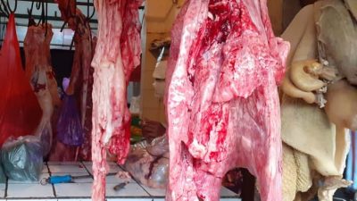 Cara Aman Konsumsi Daging Sapi Terjangkit PMK