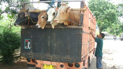 Dinas Terapkan Zonasi PMK
