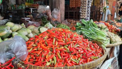 Harga Cabai Naik Drastis