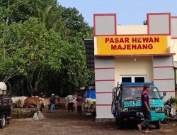 Pasar Hewan Masih Sepi