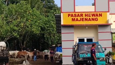 Pasar Hewan Masih Sepi