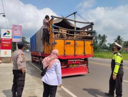 Polres Cilacap Terus Awasi Peredaran Sapi