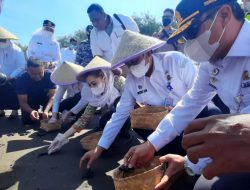 BMKG Lepas Tukik Dalam Rangka Hari Meteorologi