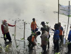 Tanam 10 Ribu Mangrove, DLH Gandeng Swasta