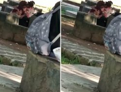 Viral. ABG Bermesraan di Taman Kota