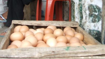 Harga Telur Masih Tinggi
