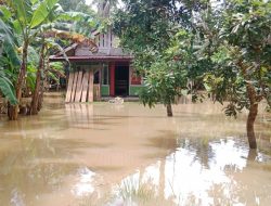 Banjir Surut, Pengungsi Pulang ke Rumah