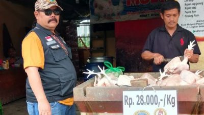 Harga Daging Ayam Stabil