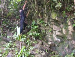 Pantangan Bagi Peziarah Gunung Padang Desa Salebu