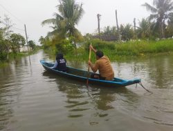 Hutan Gundul Penyebab Banjir Cilacap