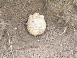 Granat Nanas Temuan Warga Kemungkinan Jenis Lama