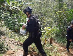 Brimob Ledakan Granat Temuan Warga