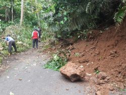 Jalur Majenang-Salem Rawan Longsor