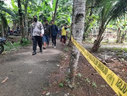 Ini Kronologi Ledakan Petasan