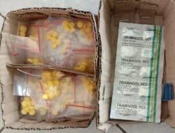 Miliki Ribuan Butir Obat Terlarang, Pemuda Cilacap Diciduk