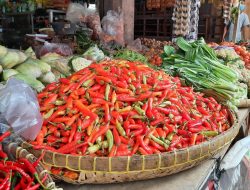 Harga Cabai Masih Tinggi