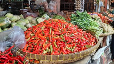Harga Cabai Masih Tinggi