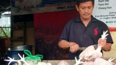 Jelang Puasa, Harga Telur dan Daging Ayam Naik