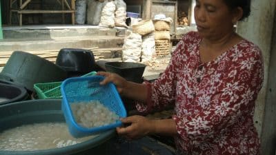 Sehari Jual Ibu Ini Jual 1 Kwintal Kolang Kaling