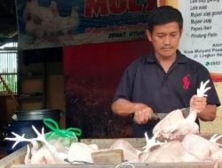 Harga Daging dan Telur Setinggi Langit