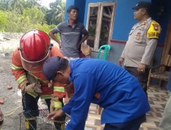Pemancing Tangkap Buaya di Sungai