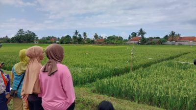 Mayat Perempuan Tanpa Baju Gegerkan Warga