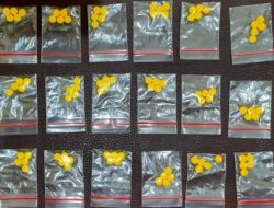 Penjual Obat Terlarang Tertangkap