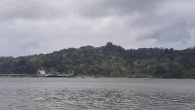 Pasukan Katak TNI AL Selami Pelabuhan Cilacap. Identifikasi Ribuan Peluru