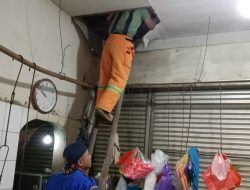 Pedagang Pasar Panik Karena Ular Masuk Kios