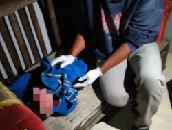 Bayi Tergeletak di Teras Gegerkan Pemilik Rumah